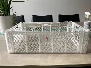 Maszyna do formowania wtryskowego butelek dla zwierząt domowych